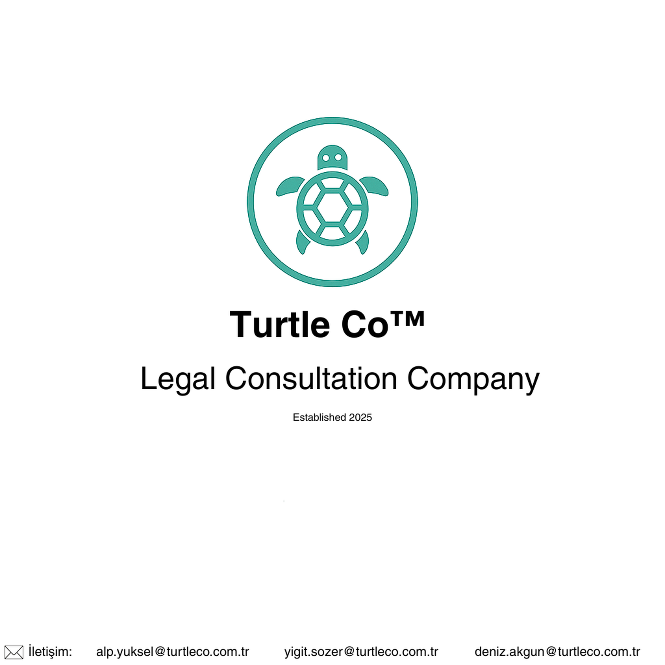 Turtle Co™ Logo